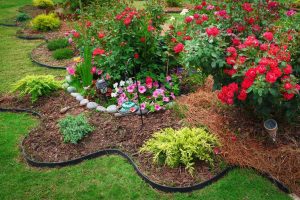 Complete Report On Complete Yard Maintainance