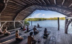 Wellness Retreats  – Things To Know
